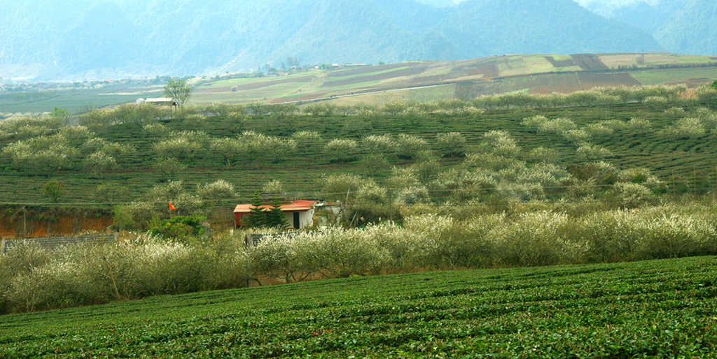 The master plan for development of the national tourism zone Moc Chau, Son La