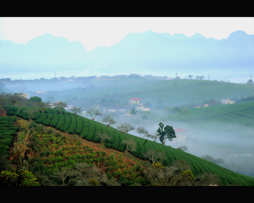 The master plan for development of the national tourism zone Moc Chau, Son La